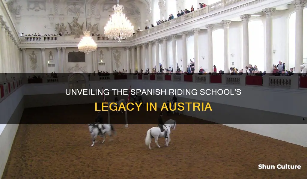 what is the purpose of the spanish riding school austria