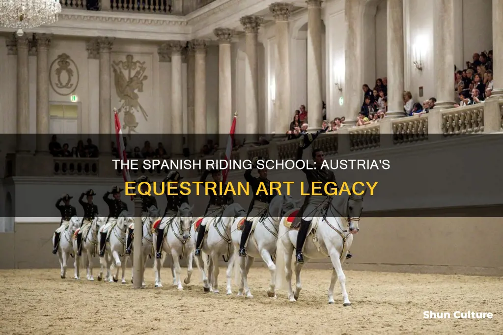 what is the purpose of the spanish riding school austria