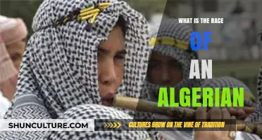 Understanding Algerian Identity: Exploring Ethnicity, Culture, and National Heritage