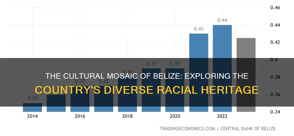 what is the race of belize