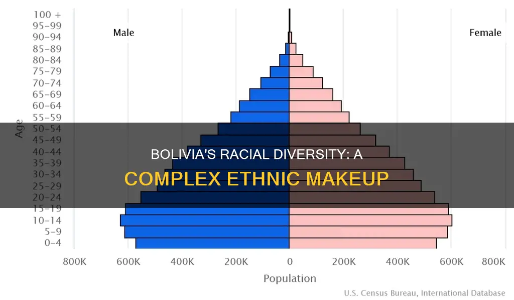 what is the racial makeup of bolivia