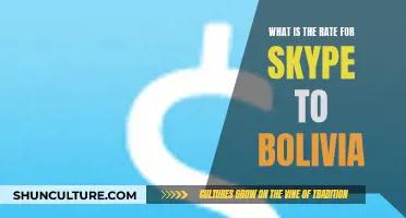 Skype-to-Bolivia Rates: Understanding the Cost of International Calls