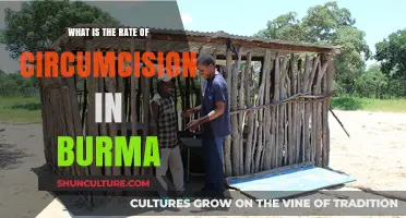 Exploring Circumcision Practices in Burma: A Cultural and Statistical Overview