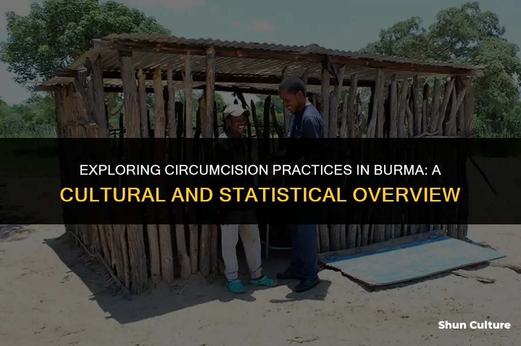 what is the rate of circumcision in burma