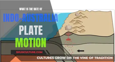 Indo-Australian Plate Motion: Understanding its Rate and Repercussions