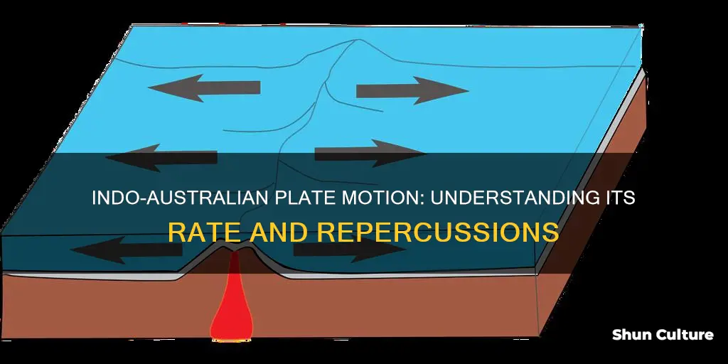 what is the rate of indo-australian plate motion