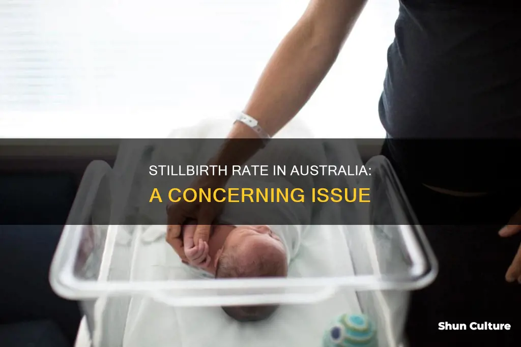 what is the rate of stillbirth in australia