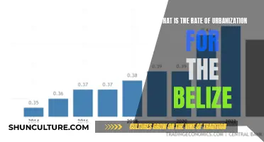 The Urbanization Trend in Belize: Rapid Growth or Slow Shift?