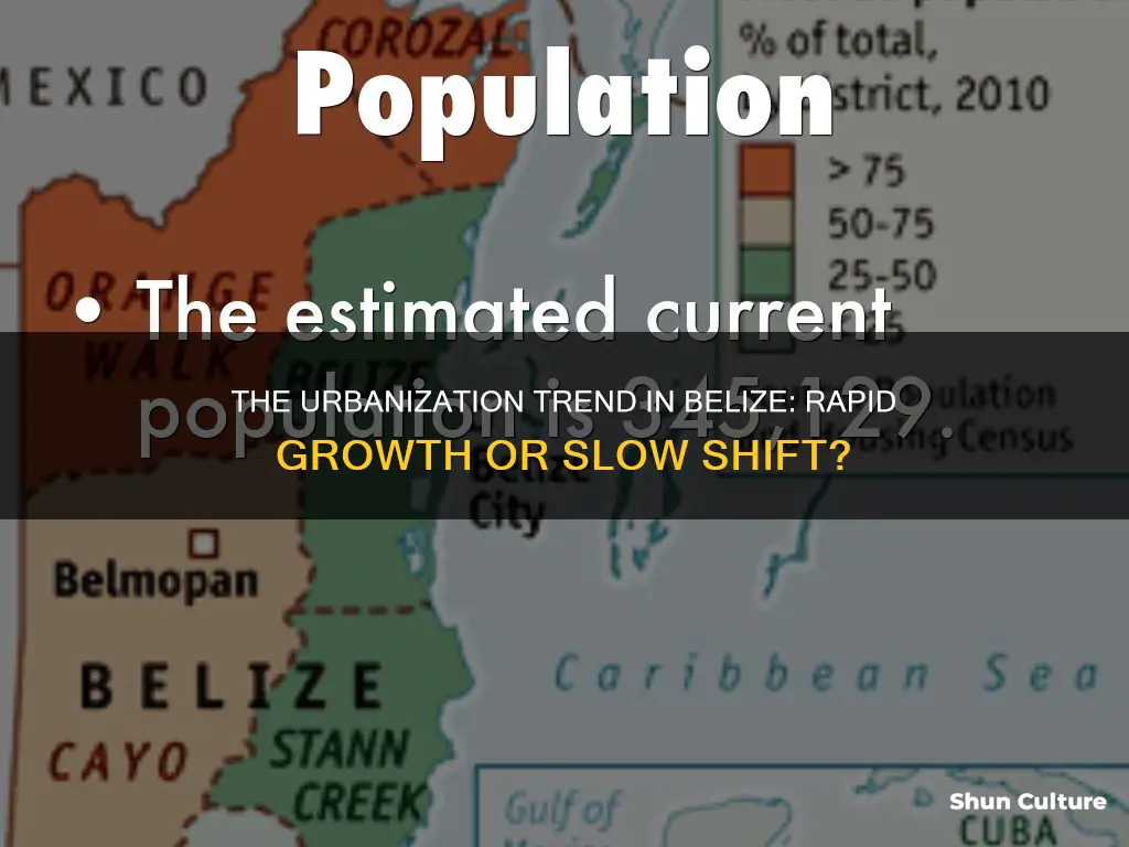 what is the rate of urbanization for the belize