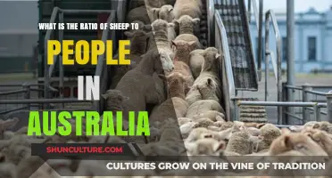 Sheep to People Ratio: Australia's Unique Population Dynamic