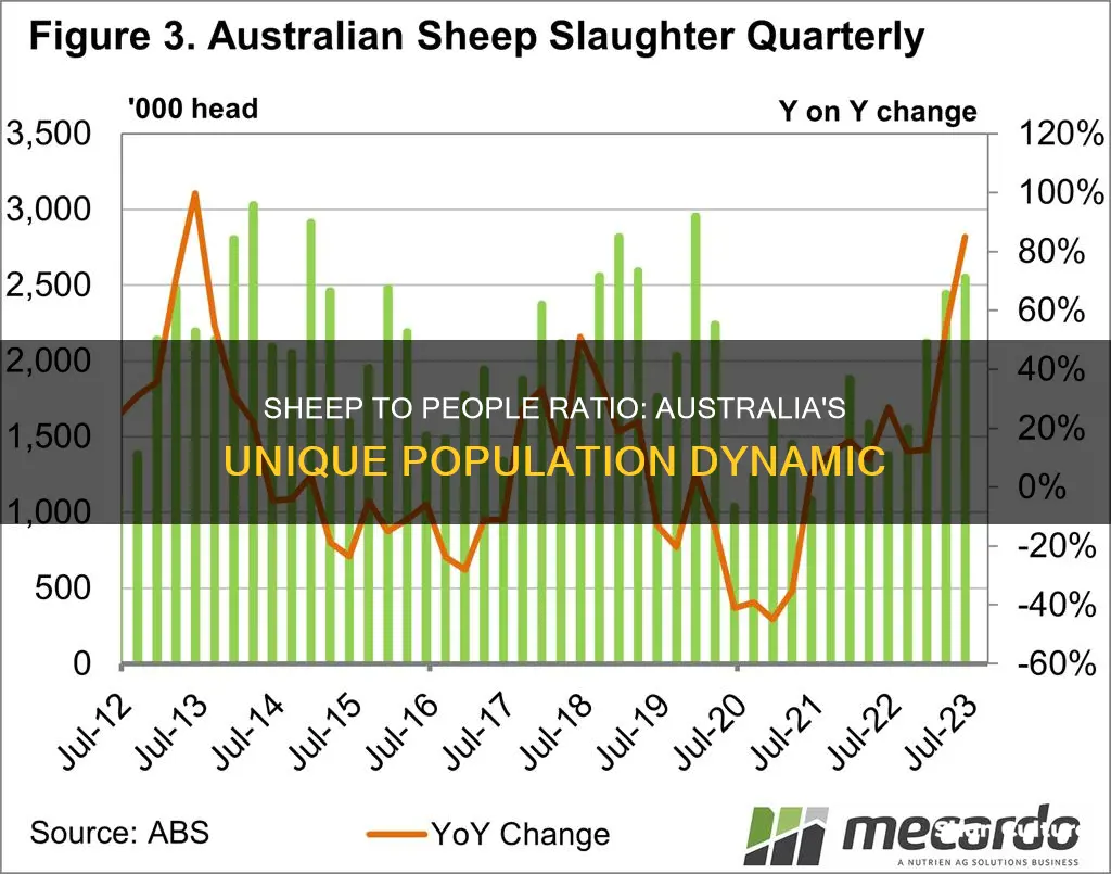 what is the ratio of sheep to people in australia