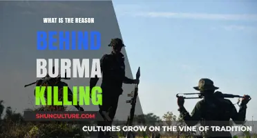 Unveiling the Complex Reasons Behind the Burma Conflict