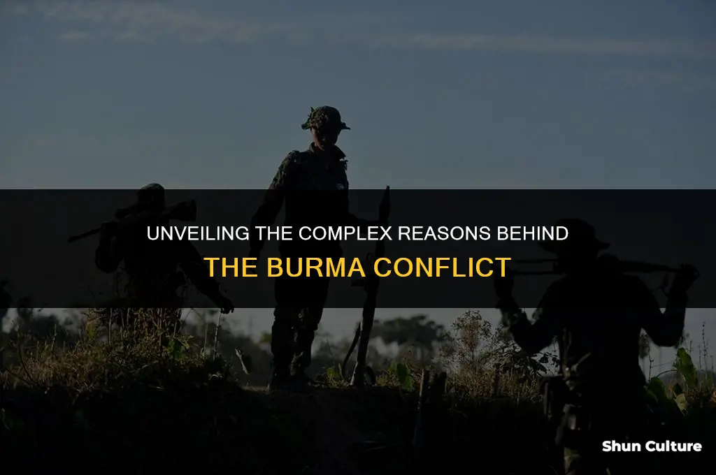 what is the reason behind burma killing