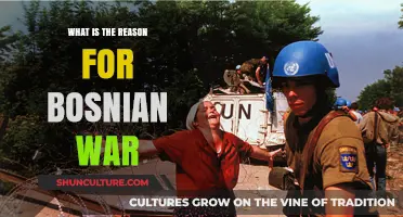 The Complex Origins and Devastating Causes of the Bosnian War