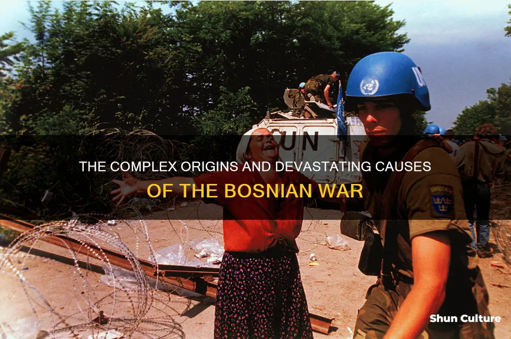 what is the reason for bosnian war
