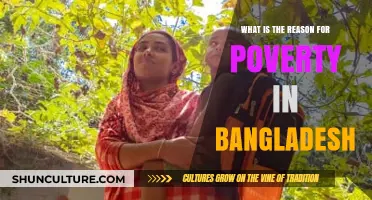 Unraveling Bangladesh's Poverty: Root Causes and Socioeconomic Challenges Explained