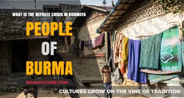 The Unseen Exodus: Rohingya Refugees Flee Burma's Brutality