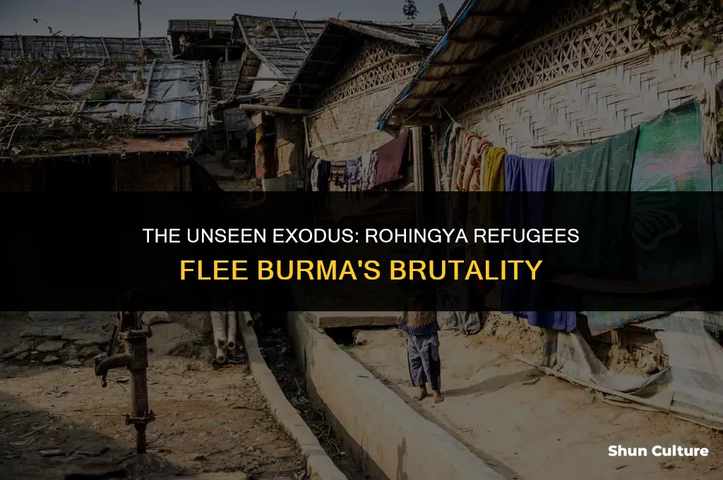 what is the refugee crisis in rohingya people of burma