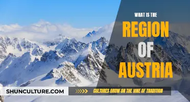 Exploring Austria's Diverse Regions: A Cultural Journey