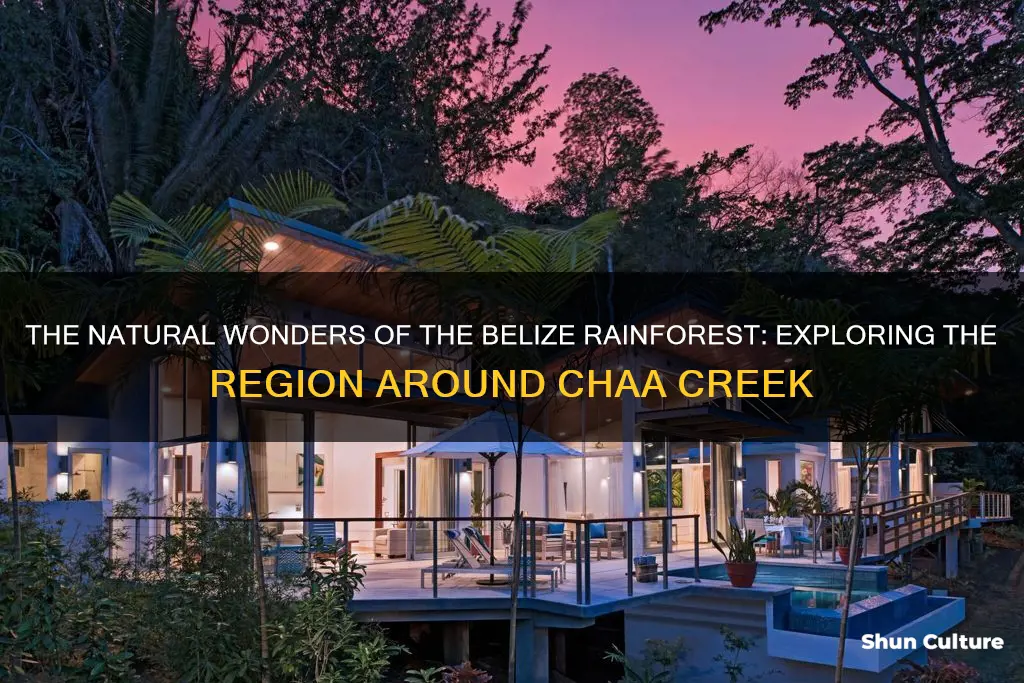 what is the region of belize around chaa creek