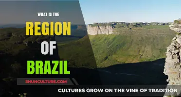 Exploring Brazil's Diverse Regions: A Comprehensive Geographical Overview