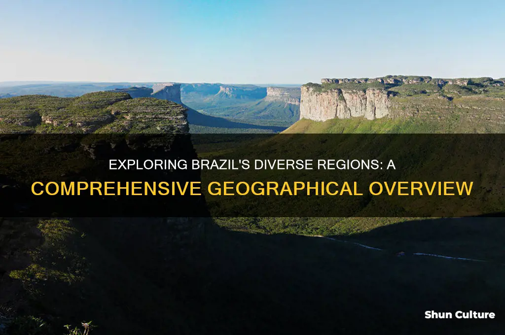 what is the region of brazil