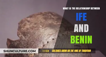 Exploring the Historical and Cultural Ties Between Ife and Benin