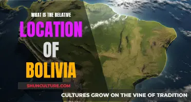 Bolivia's Relative Location: Between South America's Giants