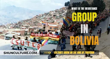 Bolivia's Resistance Group: Who Are They?