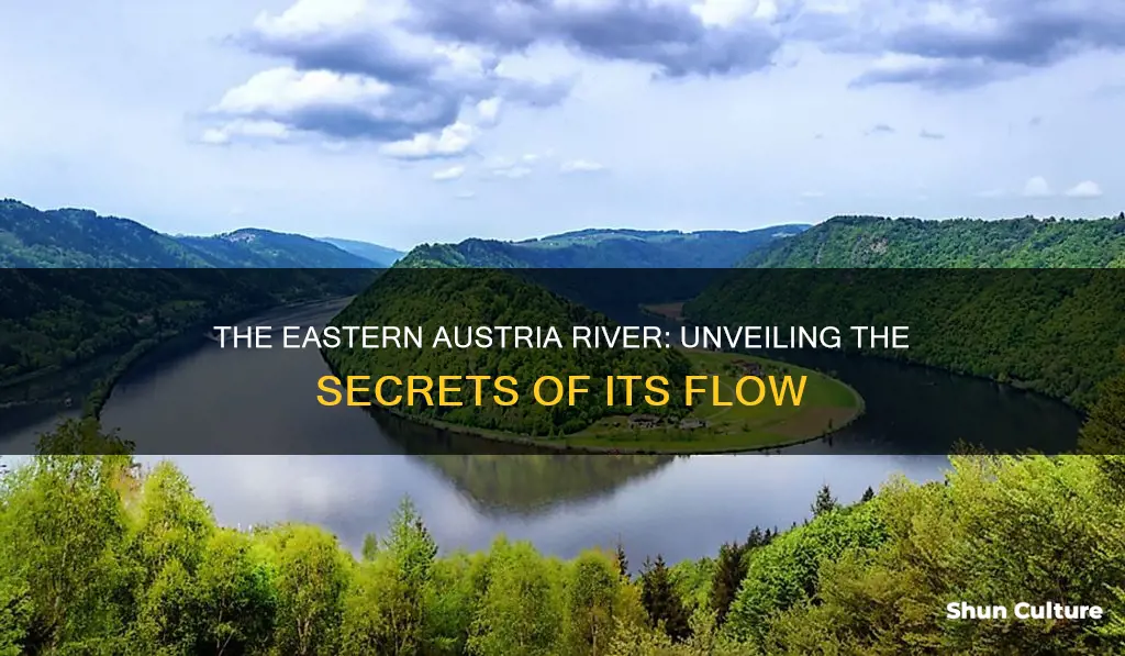 what is the river that flows eastwards through austria