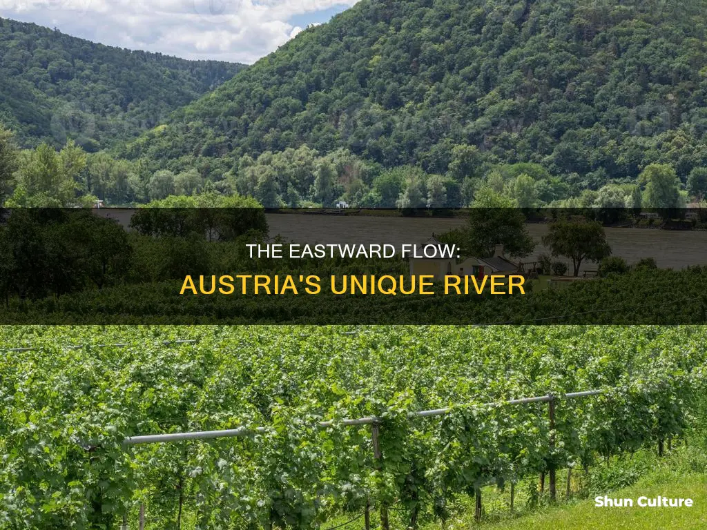 what is the river that flows eastwards through austria