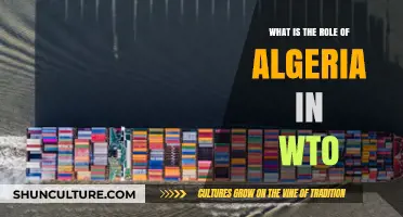 Algeria's Strategic Role and Impact in the WTO Explained