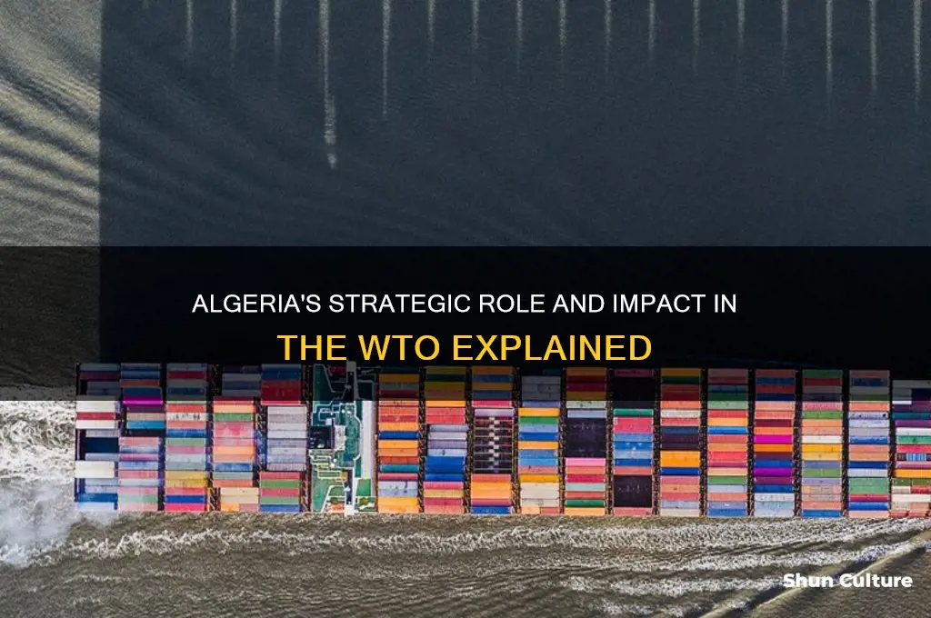 what is the role of algeria in wto