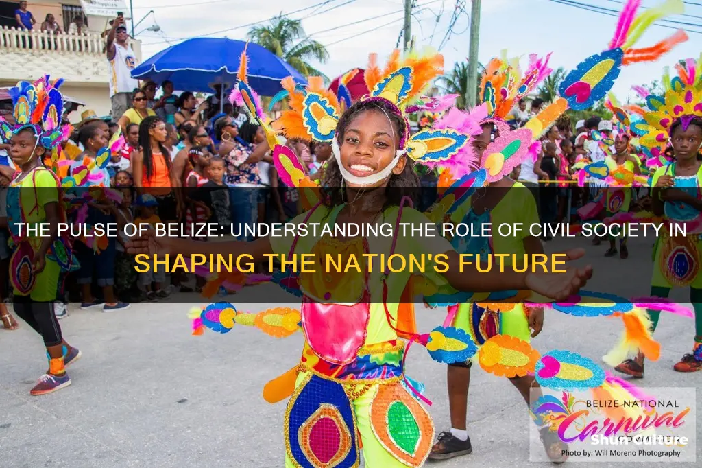 what is the role of civil society in belize