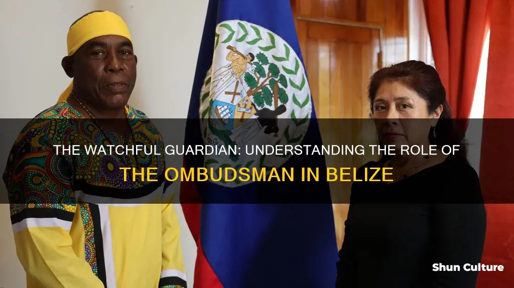 what is the role of the ombudsman in belize