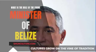 The Prime Minister of Belize: Executive Power and Responsibility