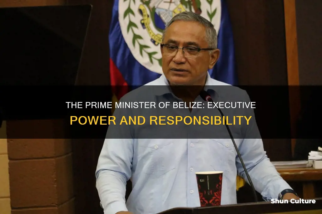 what is the role of the prime minister of belize