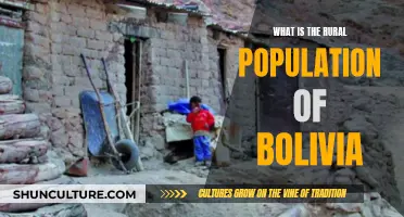 Exploring Bolivia's Vast Rural Population