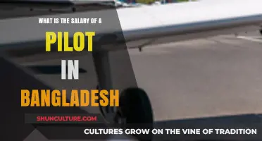 Pilot Salary in Bangladesh: Earnings, Benefits, and Career Insights