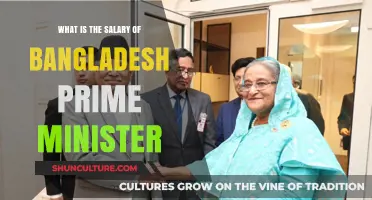 Bangladesh Prime Minister's Salary: A Comprehensive Breakdown and Analysis