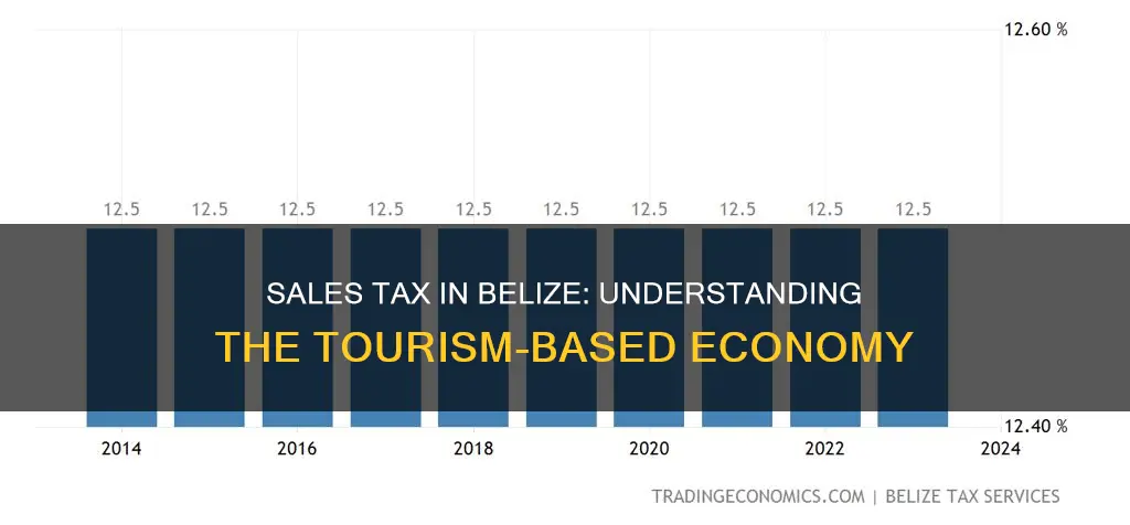 what is the sales tax in belize