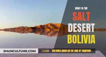 Exploring Bolivia's Salt Desert: A Unique, Otherworldly Experience