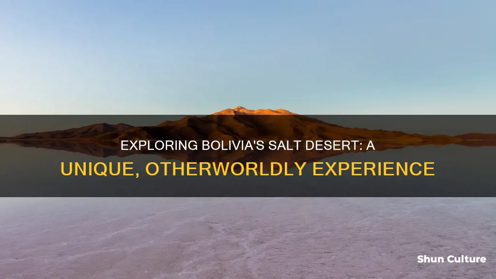 what is the salt desert bolivia