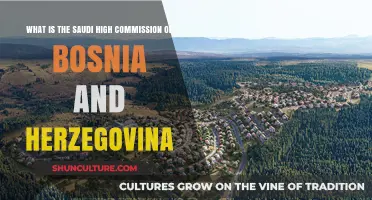 Understanding the Role of Saudi Arabia's High Commission in Bosnia and Herzegovina