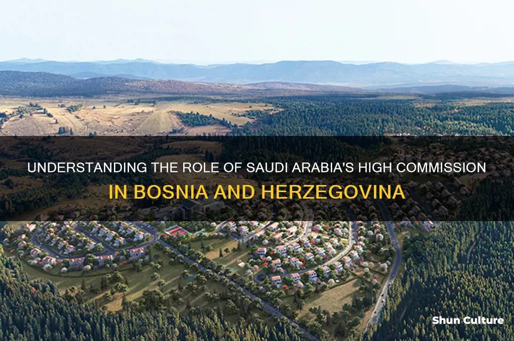 what is the saudi high commission of bosnia and herzegovina