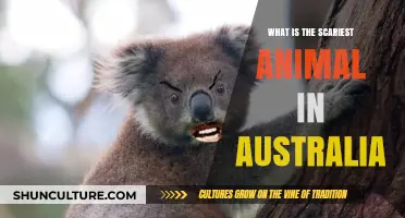 Australia's Most Terrifying Creatures: Nature's Nightmares