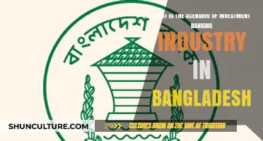 Exploring Bangladesh's Investment Banking Sector: Opportunities, Challenges, and Growth Potential