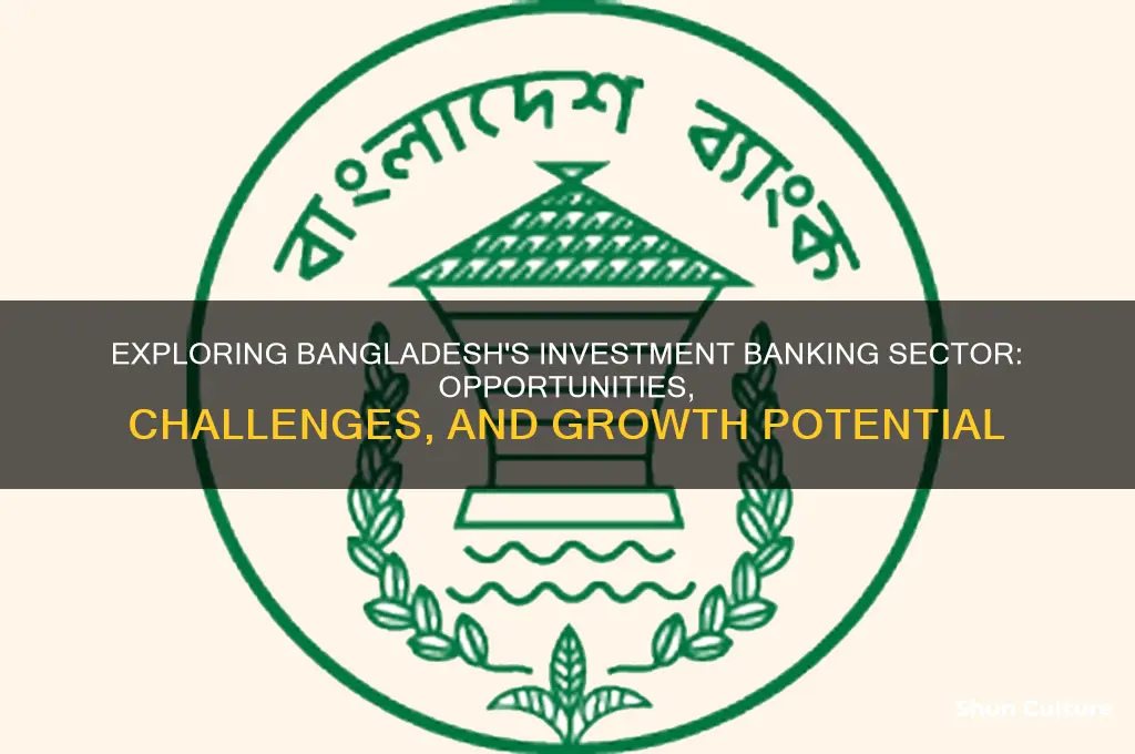 what is the scenario of investment banking industry in bangladesh
