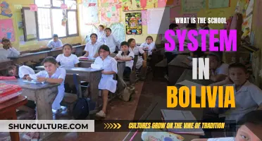 Exploring Bolivia's Unique School System and Education Approach