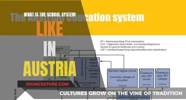 Exploring Austria's Education System: Structure, Challenges, and Opportunities